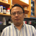 Profile Picture of Shaohui Wang, PhD