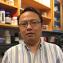 Shaohui Wang