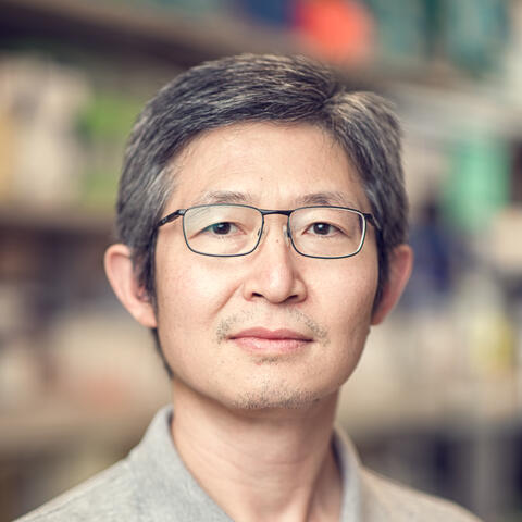 Profile picture of Yongjie Yang, PhD